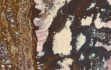 Polished Outback Jasper - Western Australia #65028-3